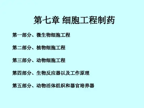 07第七章 细胞工程制药