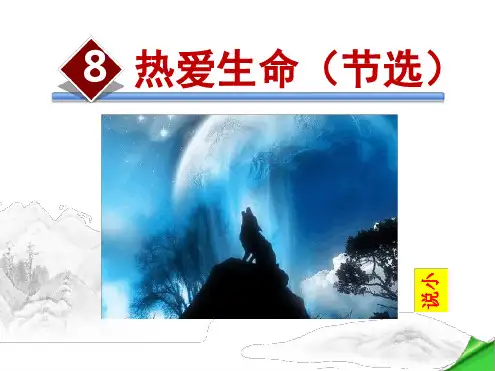 热爱生命最新优质ppt课件