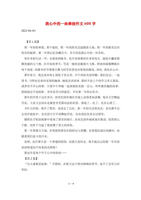 我心中的一丝牵挂作文600字