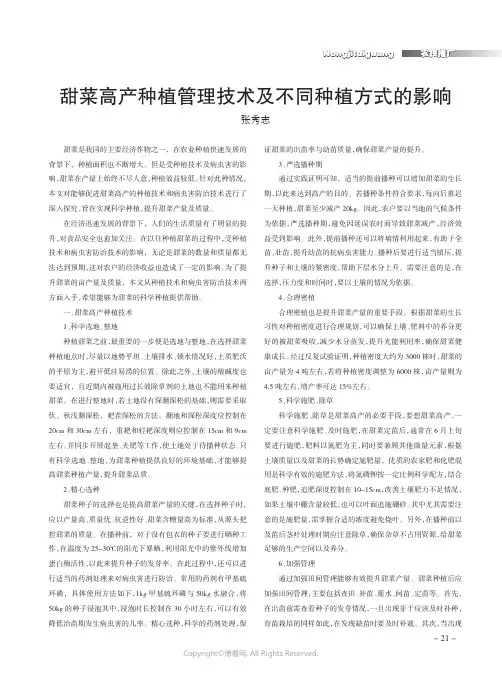 甜菜高产种植管理技术及不同种植方式的影响