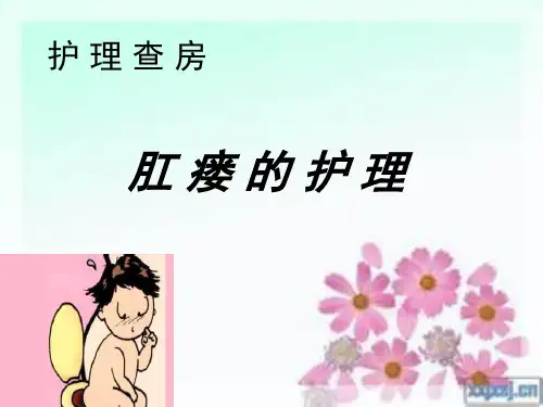肛瘘护理查房ppt课件