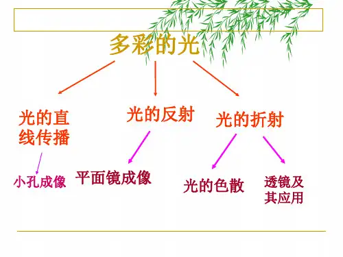 中考总复习光学专题ppt课件