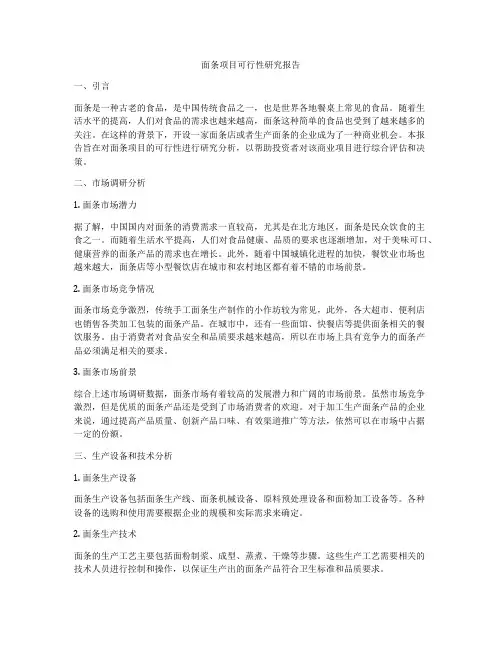 面条项目可行性研究报告