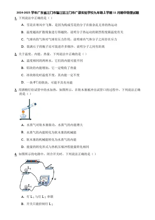 2024-2025学年广东省江门市蓬江区江门市广德实验学校九年级上学期11月期中物理试题