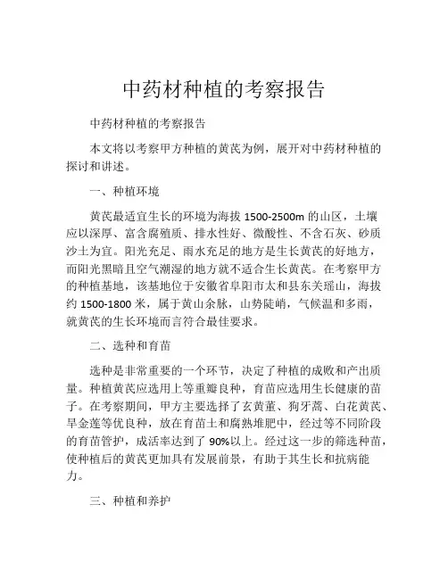 中药材种植的考察报告
