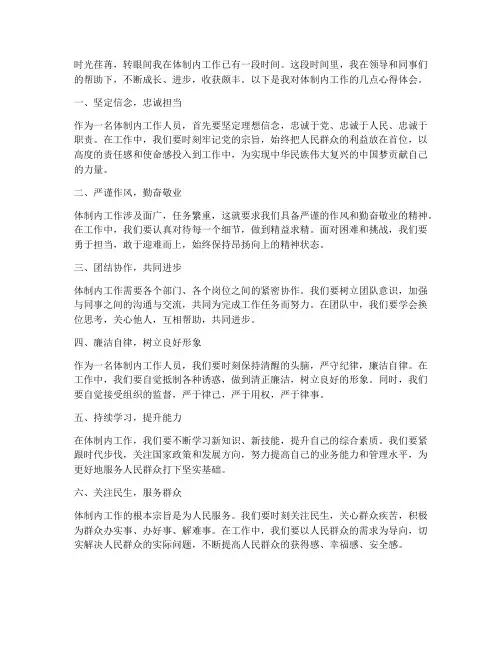体质内工作心得体会
