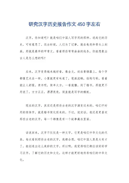研究汉字历史报告作文450字左右