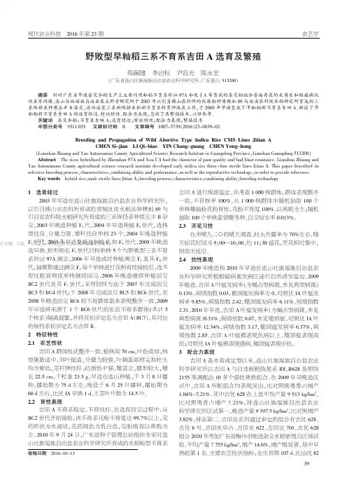 “败型早籼稻三系不育系吉田A选育经过及繁殖技术