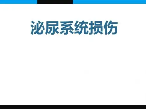 泌尿系统损伤【泌尿外科】  ppt课件