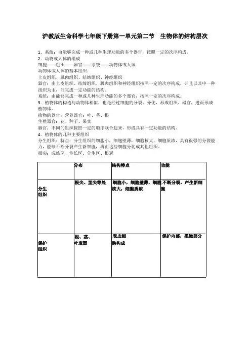 初中生物备课参考 生物体的结构层次