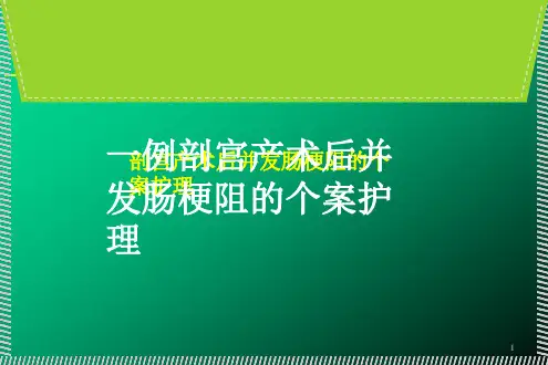 一例剖宫产术后并发肠梗阻个案护理