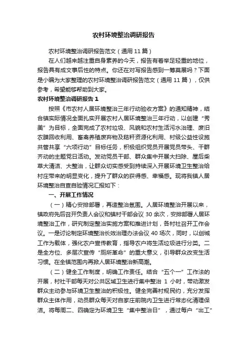 农村环境整治调研报告范文（通用11篇）
