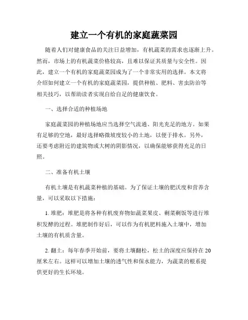 建立一个有机的家庭蔬菜园