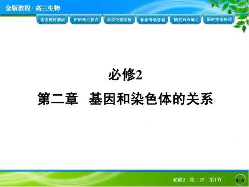 减数分裂第一轮复习课件