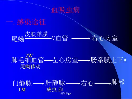 肺寄生虫病ppt课件