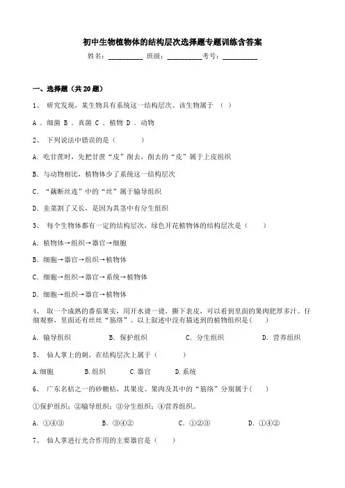 初中生物植物体的结构层次选择题专题训练含答案