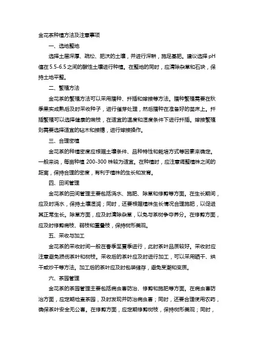 金花茶种植方法及注意事项