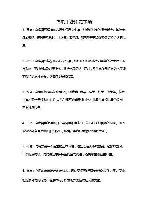 乌龟主要注意事项