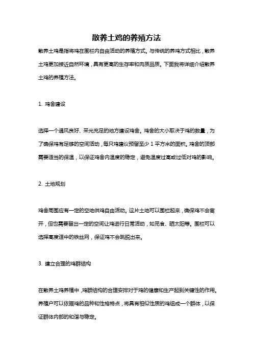 散养土鸡的养殖方法