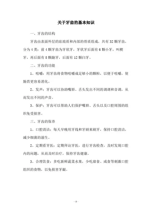 关于牙齿的基本知识