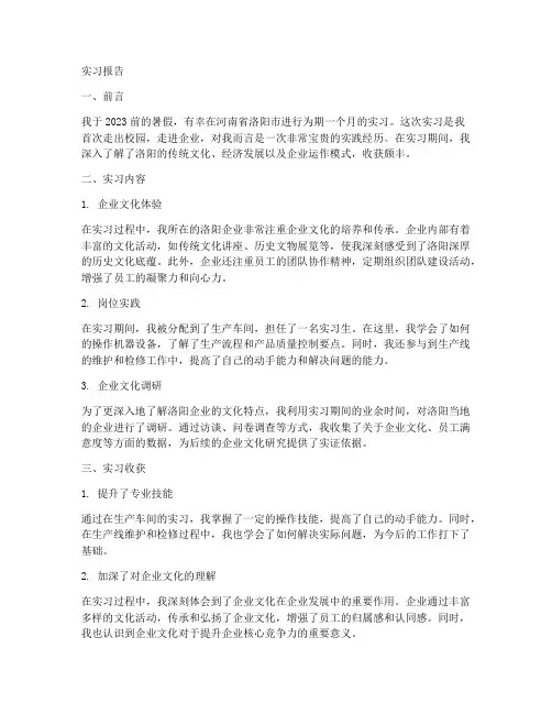 河南洛阳实习报告