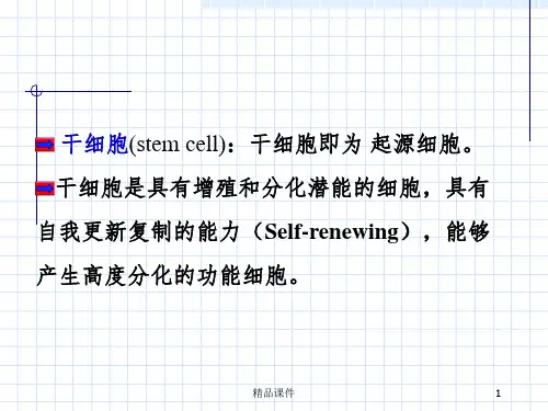 干细胞基础-ppt课件