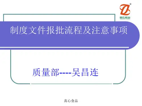 制度文件报批流程及注意事项