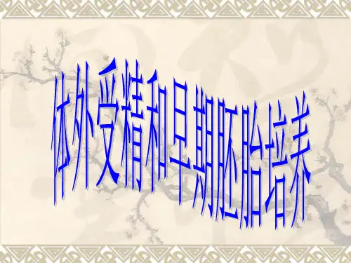 体外受精和早期胚胎培养