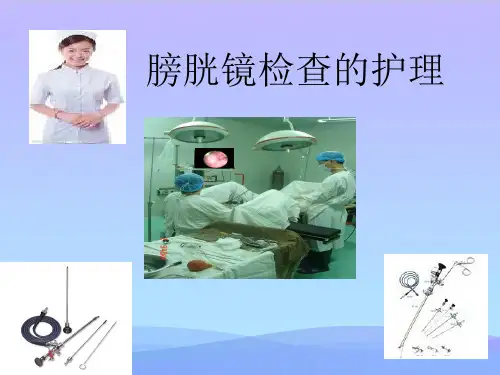膀胱镜检查-精品资料PPT