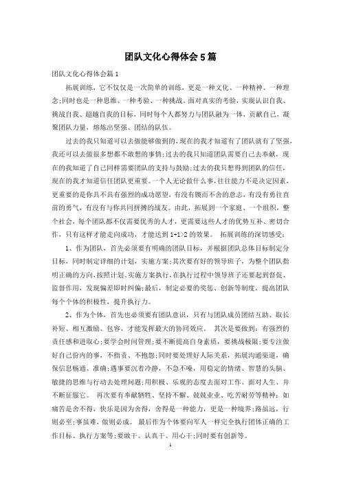 团队文化心得体会5篇