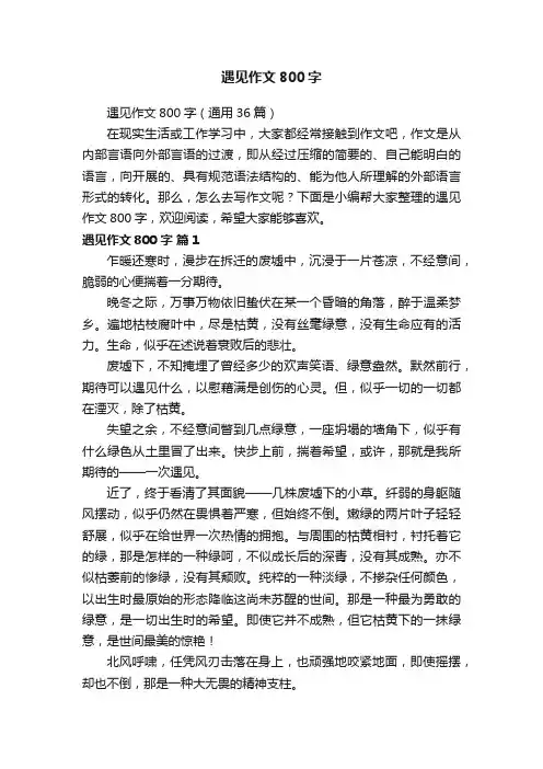 遇见作文800字（通用36篇）