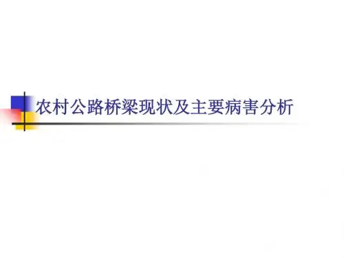 农村公路桥梁现状及主要病害分析-PPT精选文档