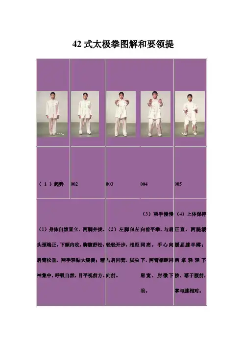 42式太极拳图解和要领提示