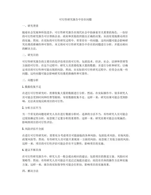 可行性研究报告中存在问题