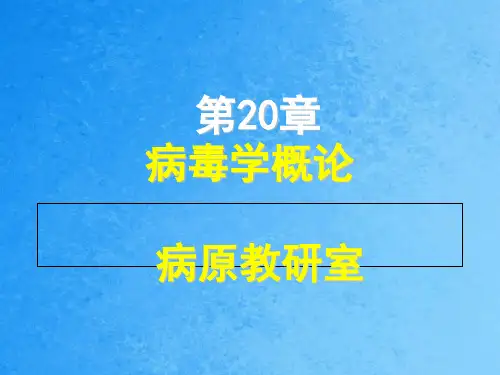 病毒学概论1ppt课件