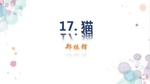 七上17猫 课件(共24张PPT)