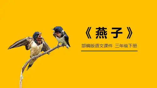 部编版三年级语文下册 燕子 新教学课件
