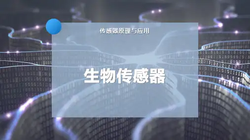 生物传感器