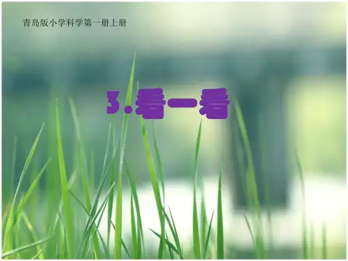 【名师课件】青岛版一年级上册科学 第3课《看一看》ppt课件2