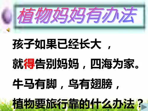 部编人教版二年级语文上册《植物妈妈有办法》精品课件