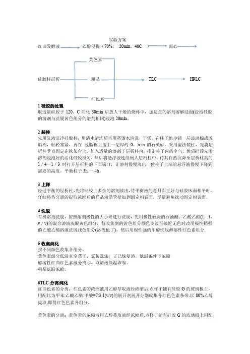 红曲色素的提取与