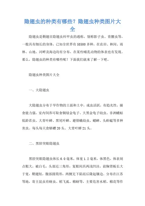 隐翅虫的种类有哪些？隐翅虫种类图片大全