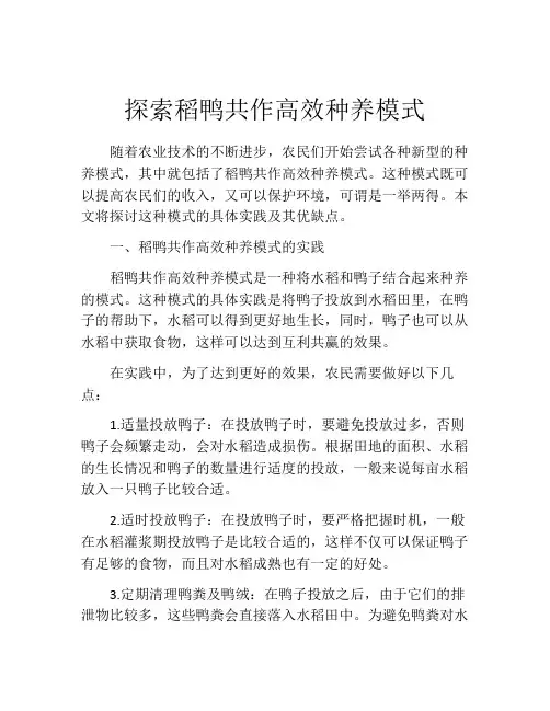 探索稻鸭共作高效种养模式