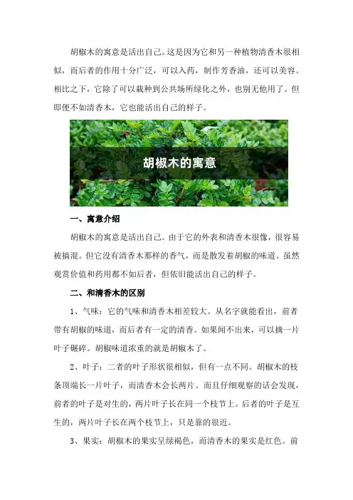 胡椒木的寓意