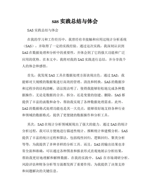 sas实践总结与体会