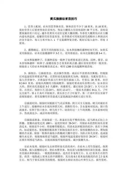黄瓜插接法育苗技巧