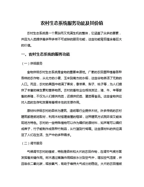 农村生态系统服务功能及其价值