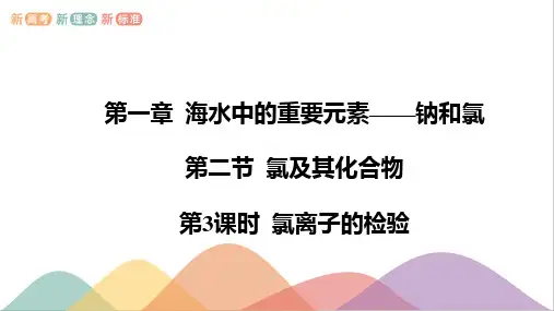 2.2.3  氯离子的检验-高一化学课件(人教版2019必修第一册)