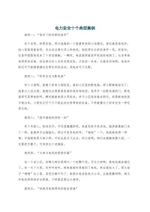电力安全十个典型案例