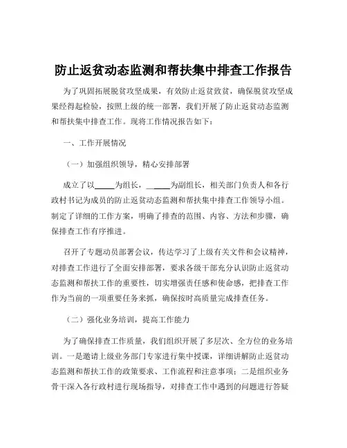 防止返贫动态监测和帮扶集中排查工作报告